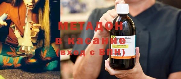 шишки Арсеньев