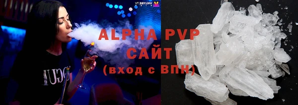 шишки Арсеньев