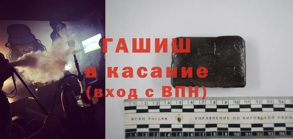 шишки Арсеньев