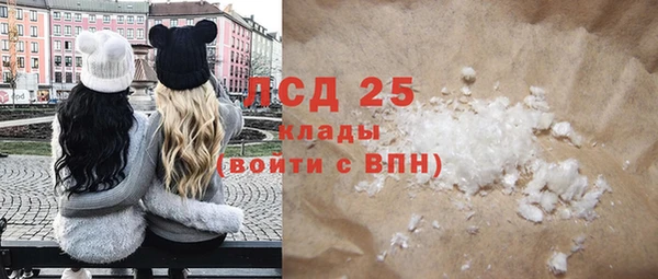 шишки Арсеньев