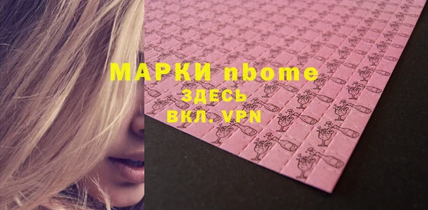 шишки Арсеньев