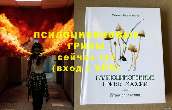 шишки Арсеньев