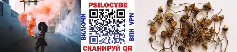 Галлюциногенные грибы Cubensis Мичуринск